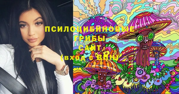 молекула духа Михайловка