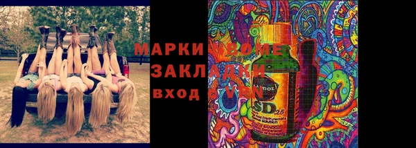 гашик Михайловск