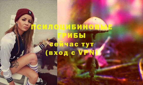 молекула духа Михайловка