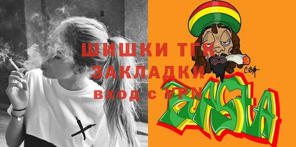 гашик Михайловск