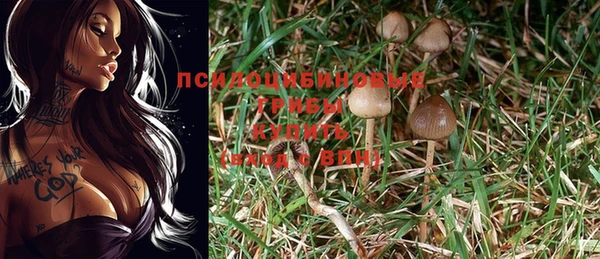 COCAINE Михайлов