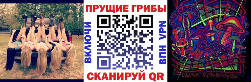 Купить закладки  Учалы  Псилоцибиновые грибы мицелий 